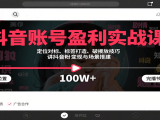 抖音账号盈利实战课，定位对标、标签打造、破播放技巧，讲涨粉变现与场景搭建