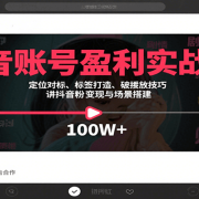 抖音账号盈利实战课，定位对标、标签打造、破播放技巧，讲涨粉变现与场景搭建