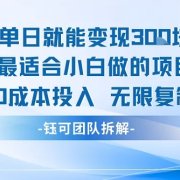 单日就能变现3张最适合小白做的项目0成本投入 无限复制
