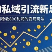 男粉私域引流新思路，单日稳收8张利润的变现玩法