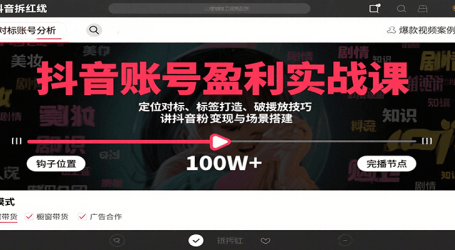 抖音账号盈利实战课，定位对标、标签打造、破播放技巧，讲涨粉变现与场景搭建