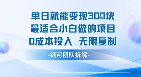 单日就能变现3张最适合小白做的项目0成本投入 无限复制
