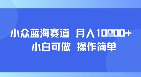 小众蓝海赛道,小白可做,操作简单,每天30分钟,月入1W+