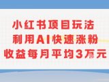 小红书商单项目新玩法,利用AI快速涨粉收益每月平均3W