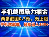 手机截图暴力掘金，两张截图0.7米，一部手机就能做，轻松日入3张+【揭秘】