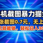 手机截图暴力掘金，两张截图0.7米，一部手机就能做，轻松日入3张+【揭秘】