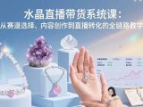 水晶直播带货系统课:从赛道选择、内容创作到直播转化的全链路教学