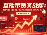 直播带货实战课:直播间搭建/选品排品/自然流三场起号技术/微付费投放技术