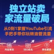 独立站卖家流量破局：从0到1掌握YouTube引流，手把手带你玩转油管流量
