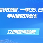 蓝海风口差价项目,一单35,日入3500+,手机即可操作