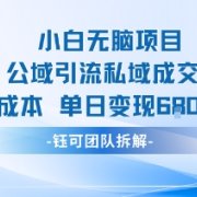 小白无脑项目公域引流私域成交0成本单日变现680米