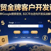 外贸金牌客户开发课,12种Google搜索密技,B2C平台逆向开发实战解析