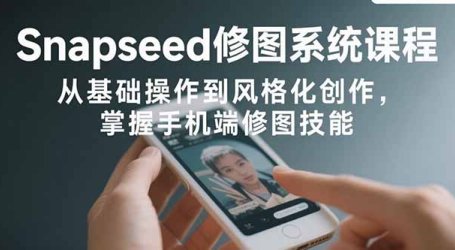 Snapseed修图系统课程:从基础操作到风格化创作,掌握手机端修图技能