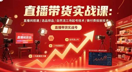直播带货实战课:直播间搭建/选品排品/自然流三场起号技术/微付费投放技术