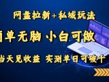 网盘拉新+私域玩法，简单无脑，小白可做，当天见收益，实测单日可破千