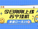 苏宁全自动采集挂G项目 稳定可批量 单窗口收益30+ 附教程【揭秘】