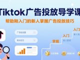 Tiktok广告投放导学课，帮助刚入门的新人掌握广告投放技巧
