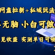 网盘拉新+私域玩法，简单无脑，小白可做，当天见收益，实测单日可破千