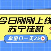 苏宁全自动采集挂G项目 稳定可批量 单窗口收益30+ 附教程【揭秘】