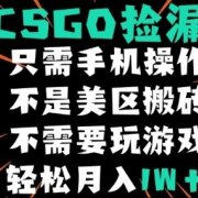 CSGO自动捡漏项目,最新独家玩法,不是美区搬砖,不需要了解和玩游戏,新手小白轻松月入1W+【揭秘】