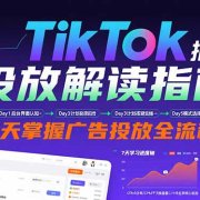 TikTok投放解读指南:后台操作/计划建立/模式选择,7天掌握广告投放全流程