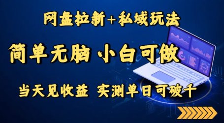 网盘拉新+私域玩法,简单无脑,小白可做,当天见收益,实测单日可破千