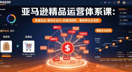 亚马逊精品运营体系课：数据选品/差异化设计/关键词矩阵，爆款孵化全流程