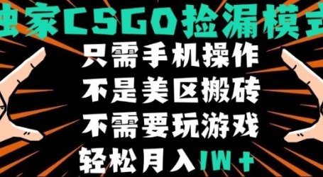 CSGO自动捡漏项目,最新独家玩法,不是美区搬砖,不需要了解和玩游戏,新手小白轻松月入1W+【揭秘】