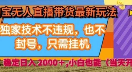 淘宝无人直播带货最新玩法，独家技术不违规，也不封号，全自动运行，只需挂着，  稳定日入2k【揭秘】