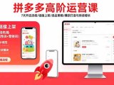 拼多多高阶运营课:7天开店流程/链接上架/选品策略/爆款打造与持续增长