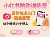 小红书陪跑训练营，带你快速入门+副业变现，做个賺钱的小博主