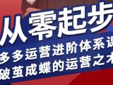 拼多多运营进阶系统课,从零起步,多多运营进阶体系课,破茧成蝶的运营之术