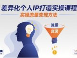 差异化个人IP打造实操课程，实操流量变现方法