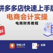 拼多多店快速上手版电商会计实操-电商财务教程