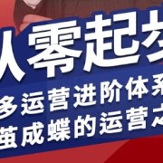 拼多多运营进阶系统课,从零起步,多多运营进阶体系课,破茧成蝶的运营之术