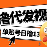 视频代发纯绿色项目，不用剪辑提供素材直接发布，0粉丝也能轻松日入50+