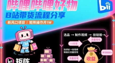 哔哩哔哩好物，B站带货流程分享，新风口项目，矩阵操作月1W