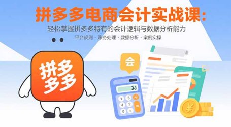 拼多多电商会计实战课：轻松掌握拼多多特有的会计逻辑与数据分析能力