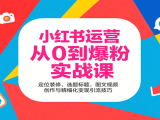 小红书运营从0到爆粉实战课：定位装修、选题标题，图文视频创作与精细化变现引流技巧