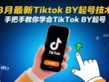 8月最新Tiktok搬运起号技术，手把手教你学会TikTok搬运起号
