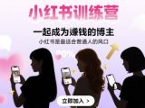 小红书训练营一起成为賺钱的博主,小红书是最适合普通人的风口