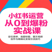 小红书运营从0到爆粉实战课：定位装修、选题标题，图文视频创作与精细化变现引流技巧