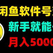 闲鱼软件号变现，新手就能干，月入5k+