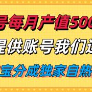 单月产值5000+,支付宝分成代运营,你提供账号坐等分钱,我们帮你运营