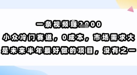 一条视频挣1k,小众冷门赛道,0成本,市场需求大,是未来半年最好做的项目,没有之一