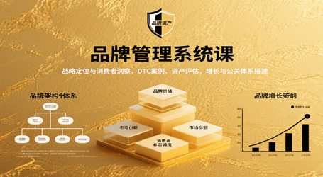 品牌管理系统课:战略定位与消费者洞察,DTC案例、资产评估,增长与公关体系搭建