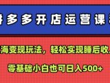拼多多开店运营课程:蓝海变现玩法,轻松实现睡后收入,零基础小白也可日入5张