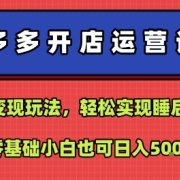 拼多多开店运营课程:蓝海变现玩法,轻松实现睡后收入,零基础小白也可日入5张