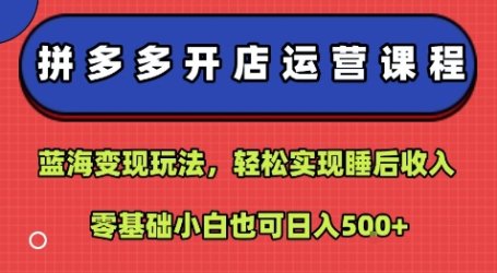拼多多开店运营课程：蓝海变现玩法，轻松实现睡后收入，零基础小白也可日入5张