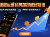 流量运营和抖加投流秘笈课，撬动巨大的短视频流量